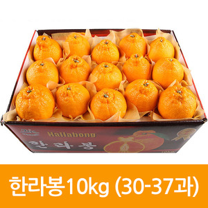 제주도특산품 한라봉 10kg 대(30-37과)